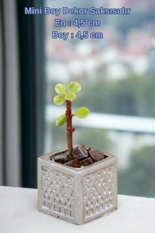 El Yapımı Saksı Siyah Dekoratif Saksı Küçük Boy Model 26