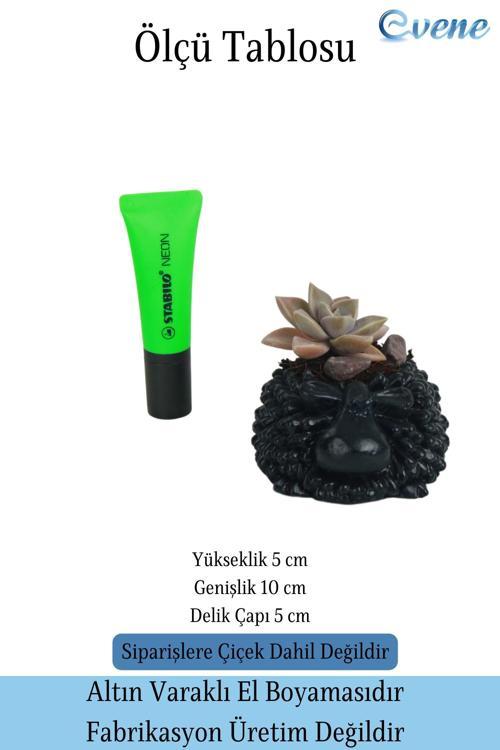 Mini Çiçek Saksısı Küçük Sukulent Siyah Kaktüs Saksı Sevimli Koyun Model