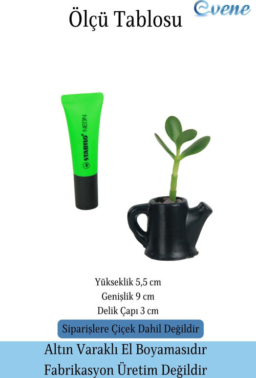 Mini Çiçek Saksısı Küçük Sukulent Siyah Kaktüs Saksı Çaydanlık Model