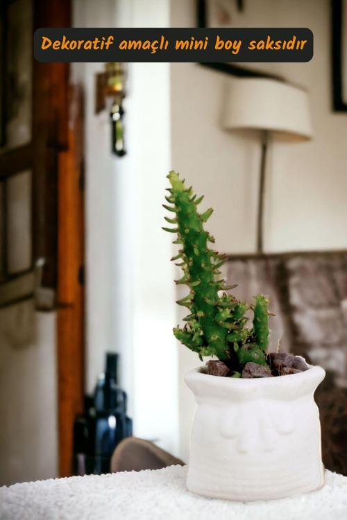 Premium Saksı Minyatür Dekoratif Kaktüs Sukulent Saksısı Model 14
