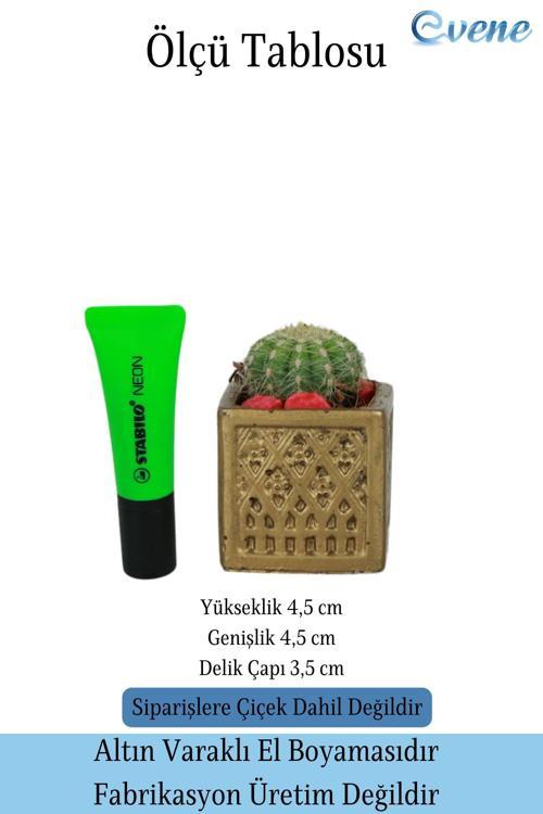 Mini Çiçek Saksısı Küçük Sukulent Gümüş Eskitme Kaktüs Saksı Mini Kare Model