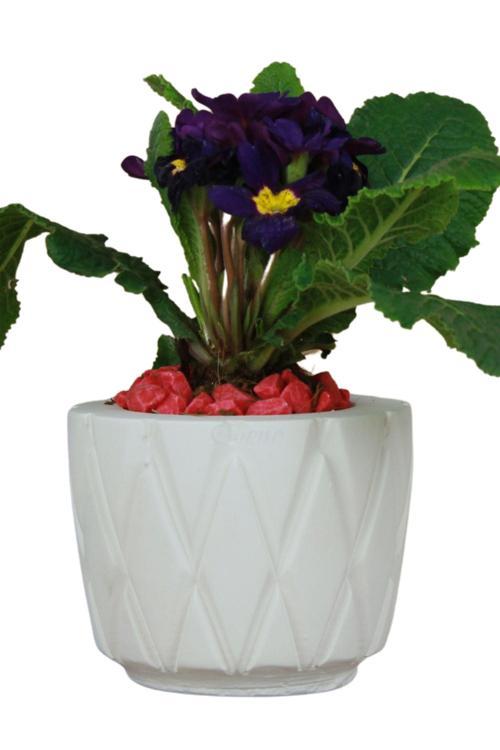 Çiçek Saksısı Beton Saksı Model Baklava