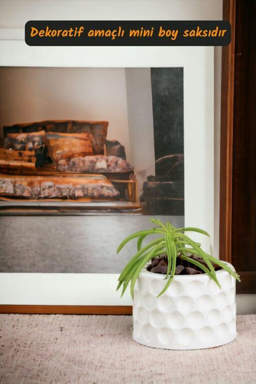 Premium Saksı Minyatür Dekoratif Kaktüs Sukulent Saksısı Model 12