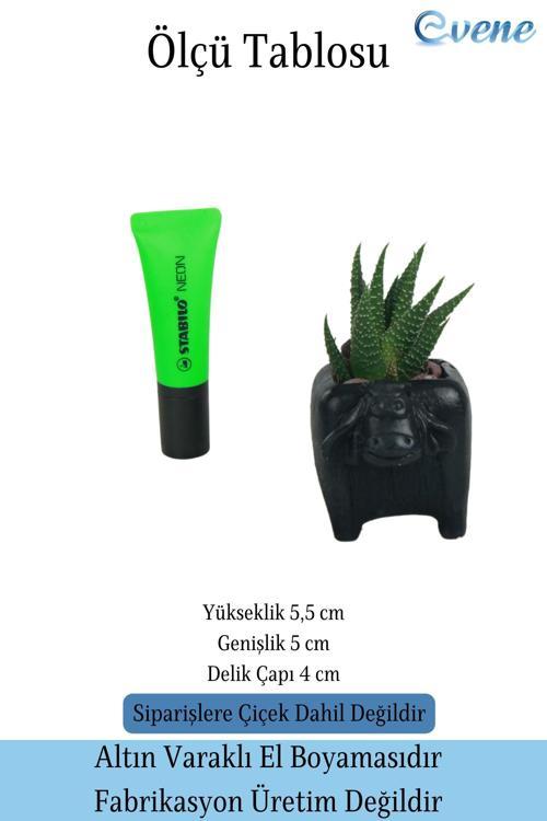 Mini Çiçek Saksısı Küçük Sukulent Gümüş Eskitme Kaktüs Saksı Mini İnek Model