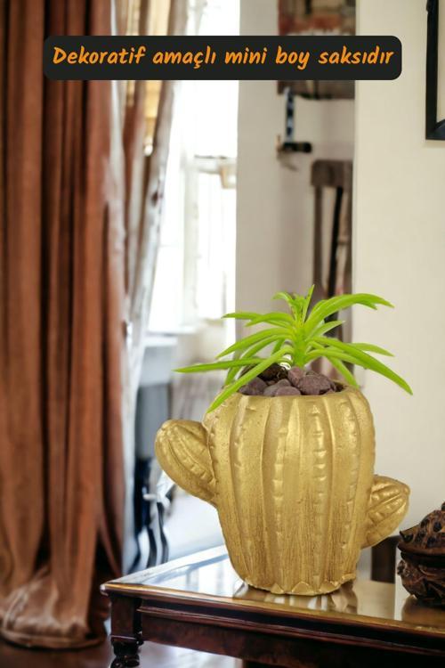 Premium Saksı Minyatür Dekoratif Kaktüs Sukulent Saksısı Model 11