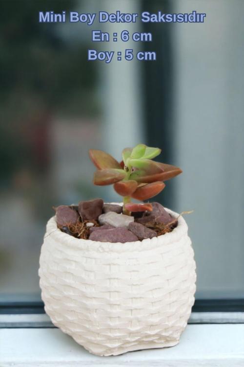 El Yapımı Saksı Altın Dekoratif Saksı Küçük Boy Model 29