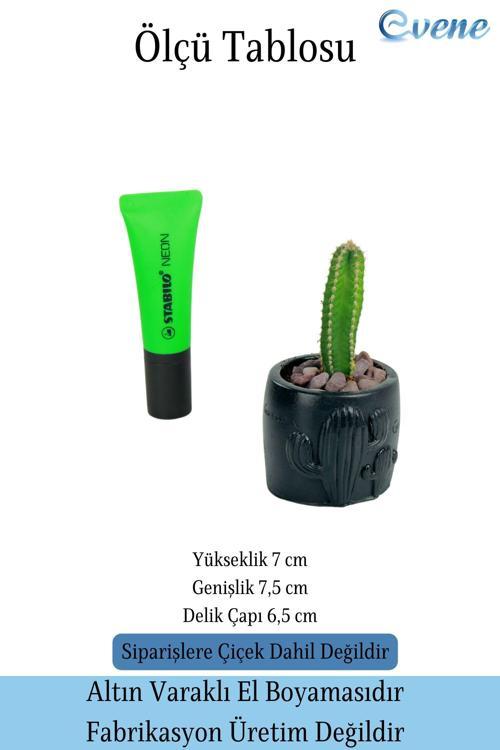 Mini Çiçek Saksısı Küçük Sukulent Gümüş Eskitme Kaktüs Desenli Model