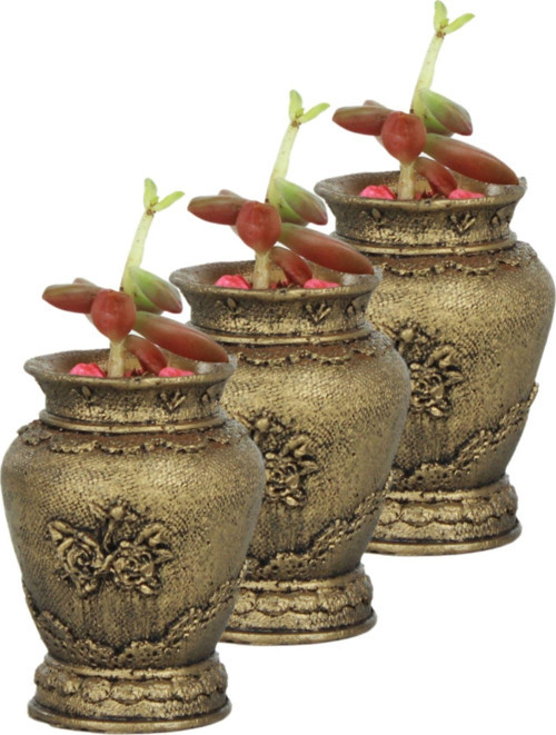 Mini Çiçek Saksısı Küçük Sukulent Altın Eskitme Kaktüs Saksı 3 Adet Set Desenli Vazo Model