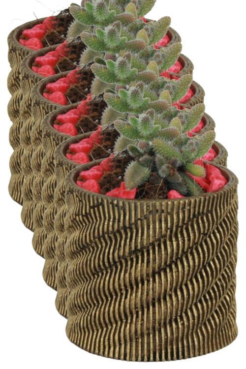 El Yapımı Saksı Seti Beyaz Dekoratif 6 Adet Saksı Küçük Boy Model 39