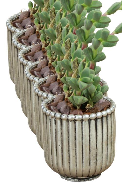 El Yapımı Saksı Seti Beyaz Dekoratif 6 Adet Saksı Küçük Boy Model 30