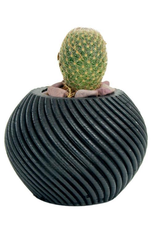 Mini Çiçek Saksısı Küçük Sukulent Siyah Kaktüs Saksı İnce Çizgili Spiral Model