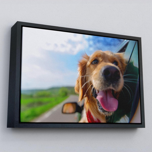 Çerçeveli Köpek Dekoratif Kanvas Tablo-1130