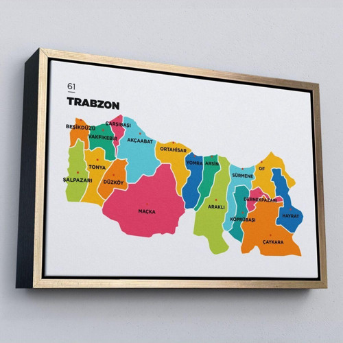 Çerçeveli Trabzon İli Ve İlçeler Haritası Dekoratif Kanvas Tablo-1469
