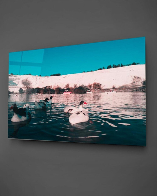 Pamukkale Ve Ördek Cam Tablo