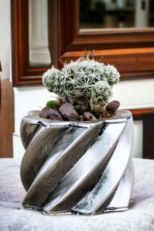 Premium Saksı Minyatür Dekoratif Kaktüs Sukulent Saksısı Model 9