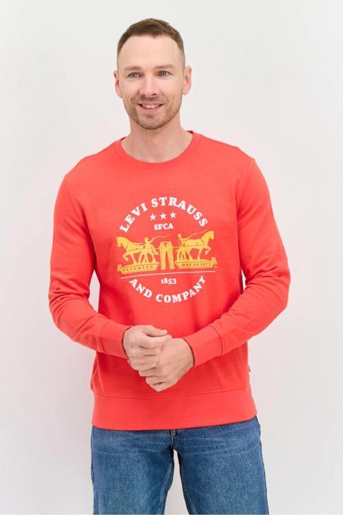 Graphic Erkek bisiklet yaka Sweatshirt