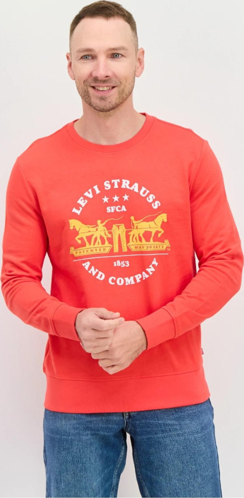 Graphic Erkek bisiklet yaka Sweatshirt