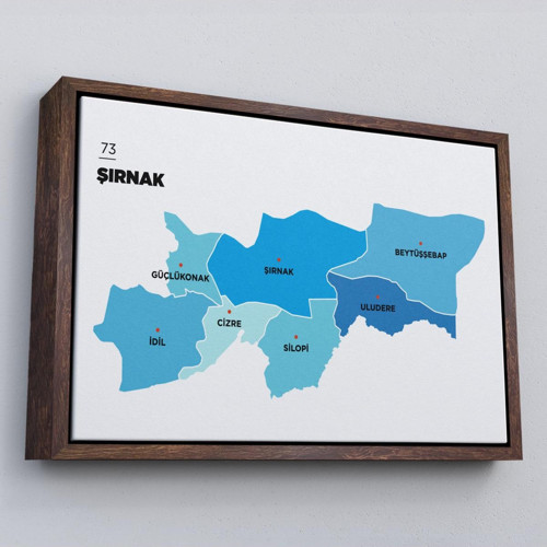 Çerçeveli Şırnak İli Ve İlçeler Haritası Dekoratif Kanvas Tablo-1462