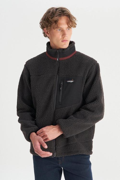 Regular Fit Dik Yaka Fermuarlı Erkek Polar W25201420 03 ANTRASİT