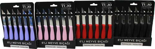 6 PARÇA MEYVE BIÇAK RENKLİ PLASTİK SAPLI (5314)