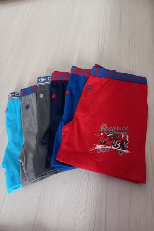 Erkek Çocuk Renkli Elastan Pamuk Baskılı Boxer 6'Lı