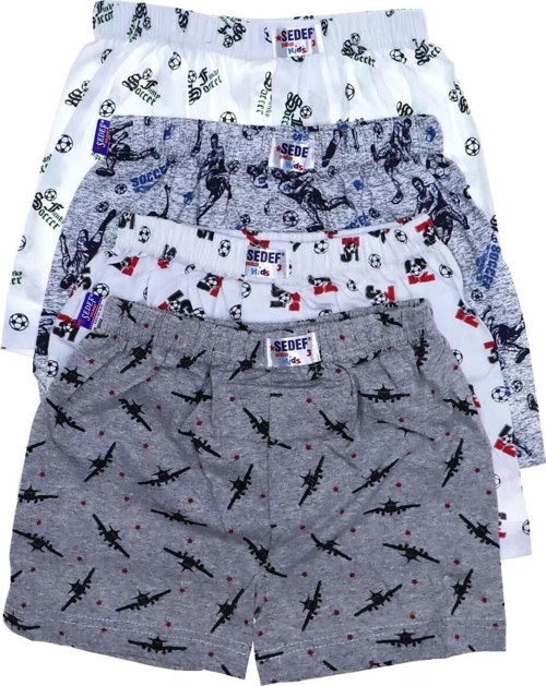 Erkek Çocuk Desenli Boxer 1037 - 6 Adet