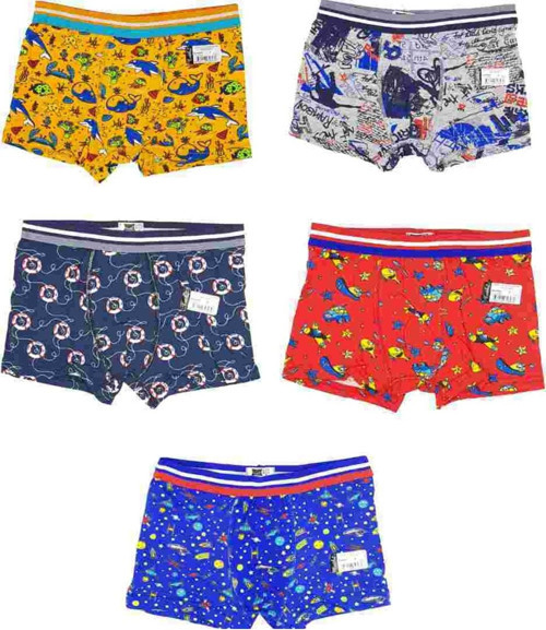 0254 Erkek Çocuk 6`Lı Empirme Desenli Boxer