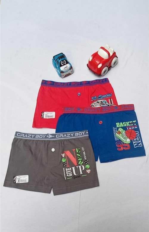 Erkek Çocuk Çok Renkli 6'Lı Elastan Pamuk Baskılı Boxer 0253