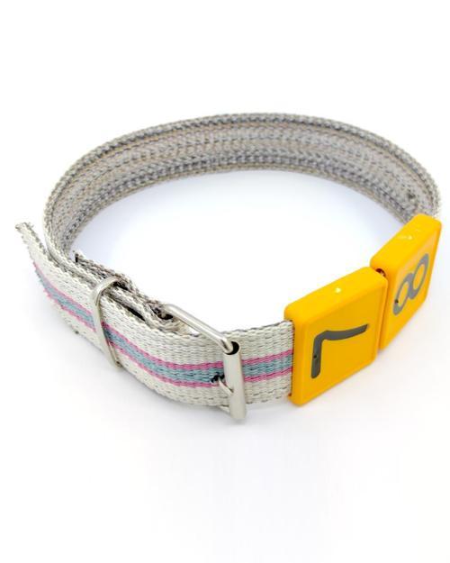 25 Hayvanlık Tokalı Tipi Küçükbaş Numaratör Kayışı + Numaratör Seti