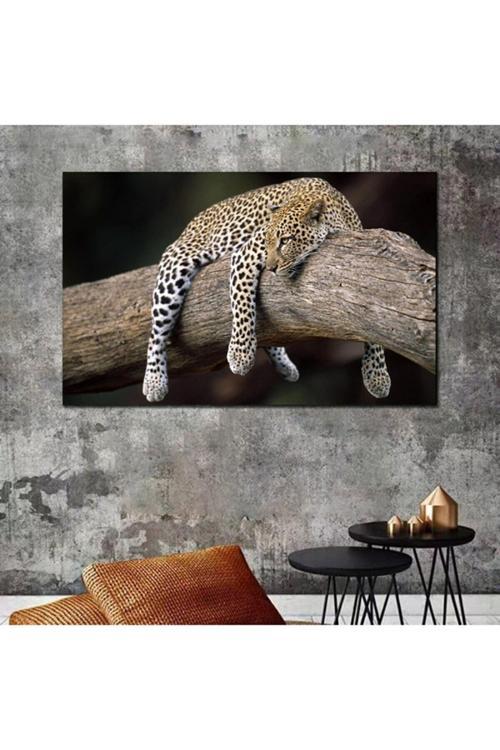 Aslan Leopar Kanvas Tablo