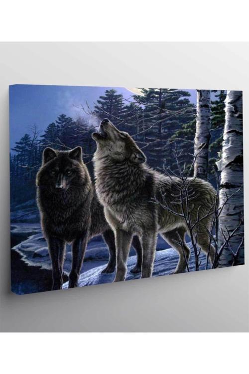 Kurt Resimli Kanvas Tablo