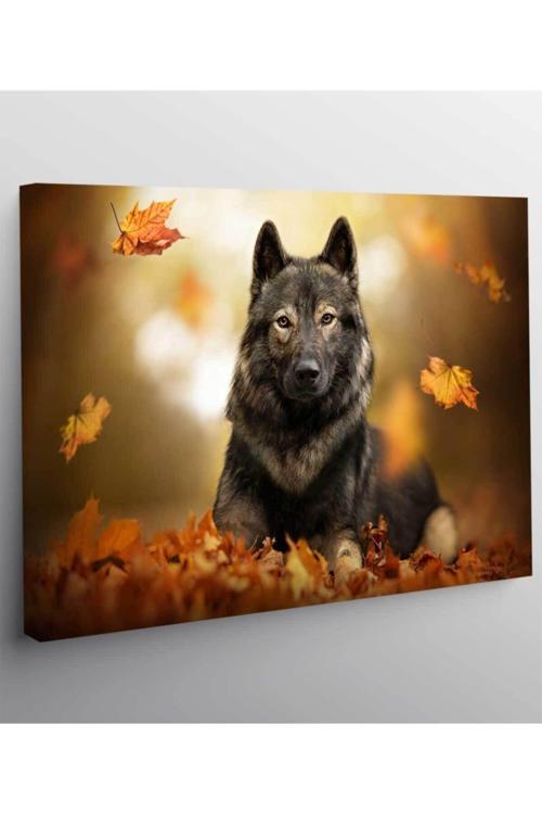 Köpek Resimli Kanvas Tablo