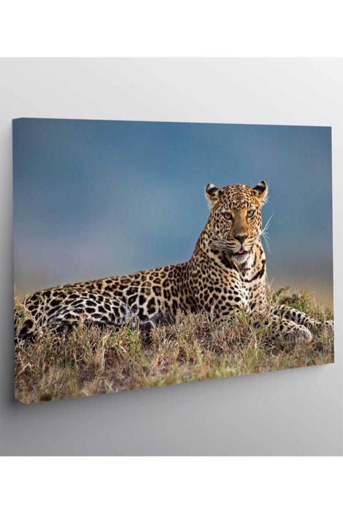 Aslan Leopar Kanvas Tablo