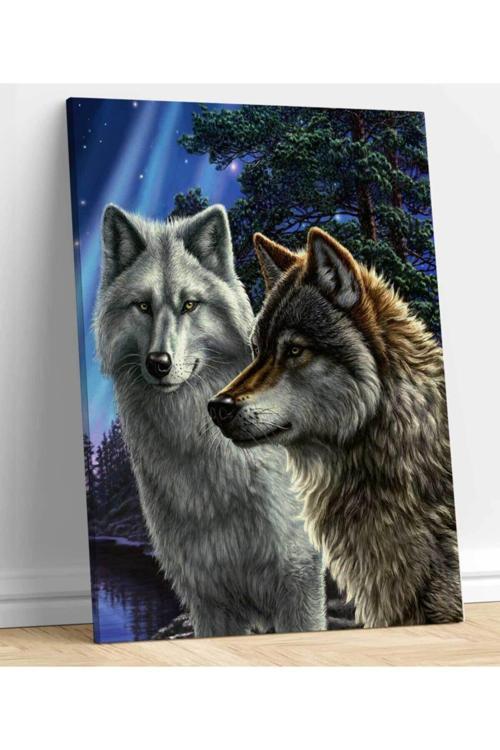 Kurt Resimli Kanvas Tablo