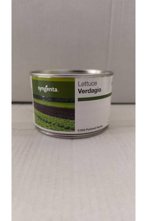 Çıtır Marul(Verdagio) Tohumu 1 Kutu(5000 Adet)