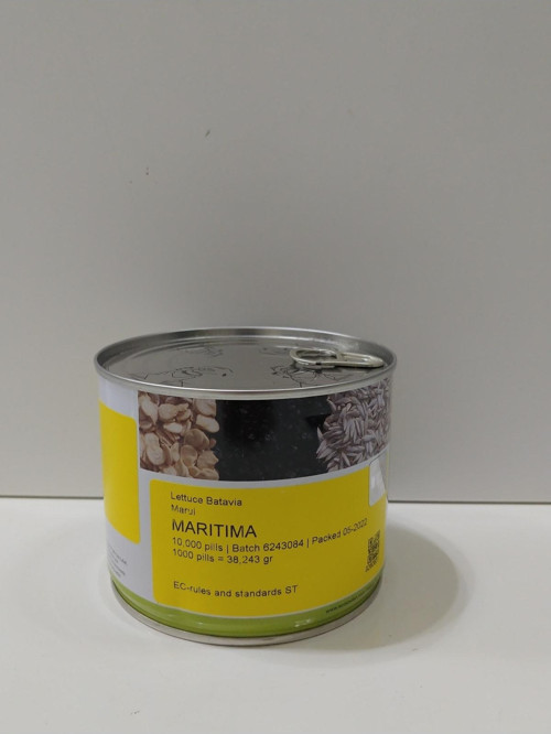 Maritima Kıvırcık Marul Tohumu Paketli 10.000(Bahar Ve Yazlık)