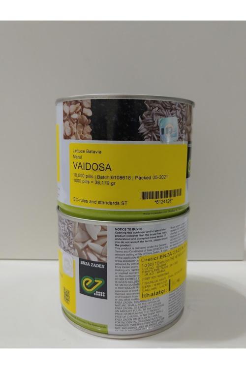 Vaidosa Kıvırcık Marul Tohumu Paketli 10.000(Sonbahar Ve Kışlık)