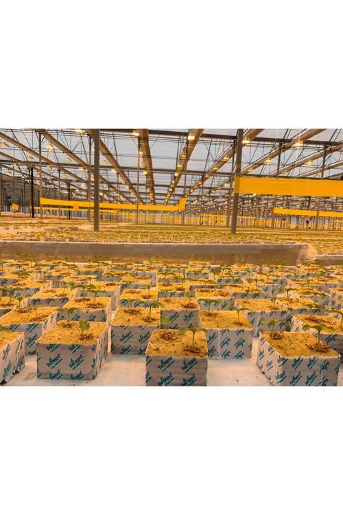 Kayayünü - Topraksız Tarım 10X10X6,5 Cm - 20 Adet - Çift Delikli