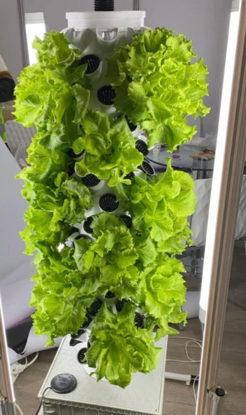 Dikey Bitki Üretim Kulesi 5 Katlı-40 Gözlü - Topraksız Tarım