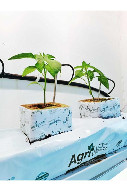 Sebze Cocopeati 12/18/100 25 Lt