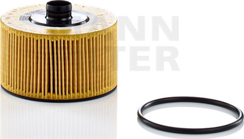 Filter HU10002Z Yağ Filtresi 152095084R - 15209-00Q0F - 2811800010