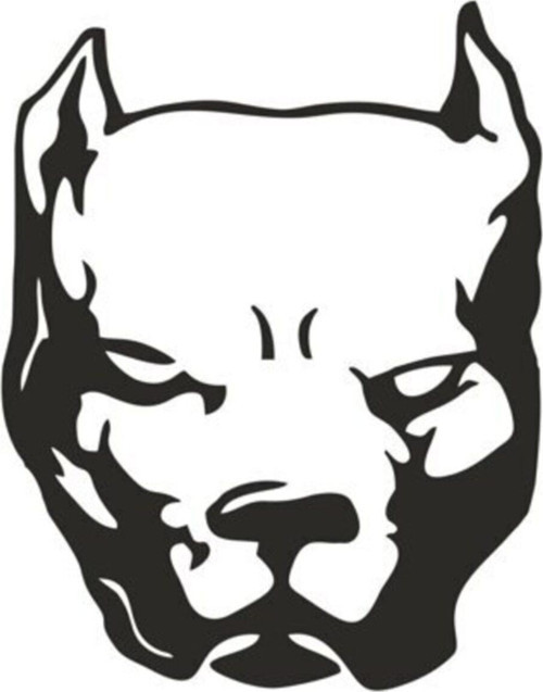 Pitbull Köpek Özel Sticker 15*11,5 Cm