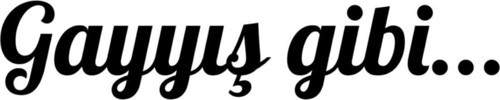 Gayyış Gibi Oto Cam Özel Sticker Siyah 20*4 Cm
