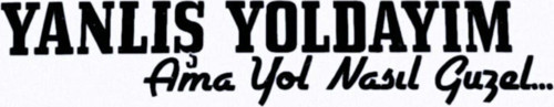 Yanlış Yoldayım Oto Özel Sticker 16*4 Cm