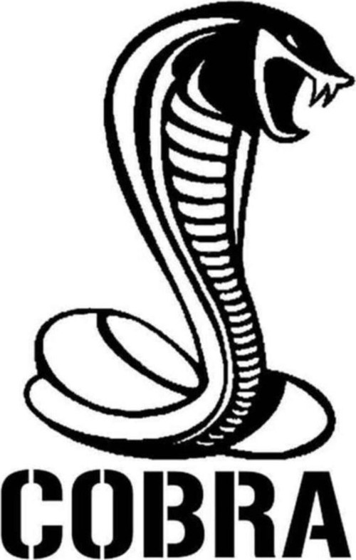 Cobra Oto Özel Sticker 20 Cm
