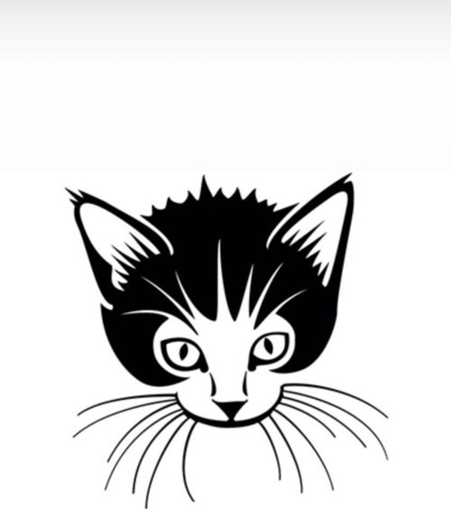 Cingöz Kedi Oto Özel Sticker Siyah 40*40 Cm