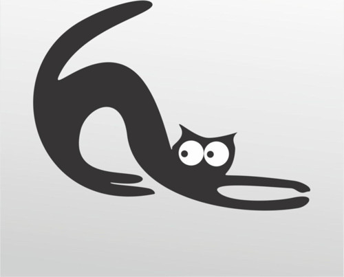 Folyo Özel Sticker Kedi 115