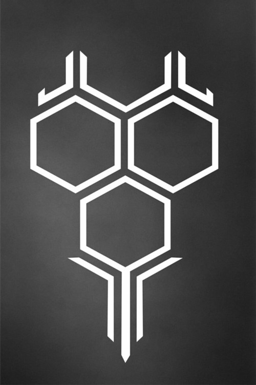 Petek Tasarım Oto Kaput Özel Sticker Siyah/Beyaz 58*35 Cm