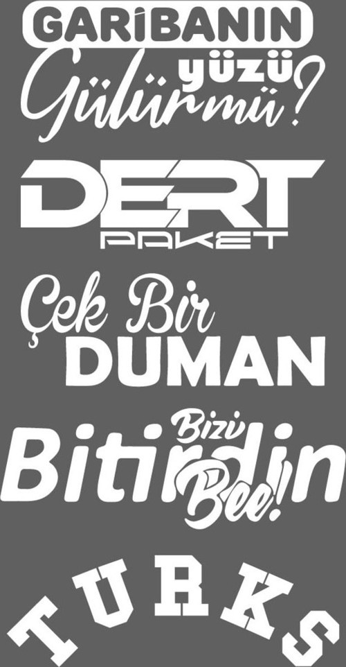 Oto Arka Cam Özel Sticker Model 49 Beyaz 40*20 Cm