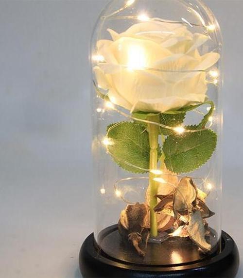 Fanus Çiçek 19/10cm Cam Fanus Hediyelik Led Işıklı